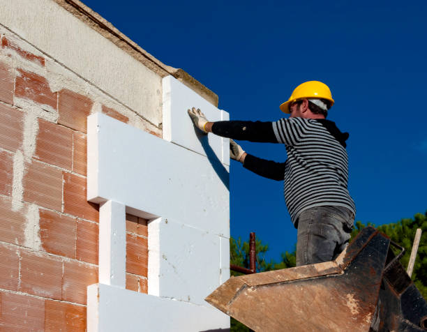 Best Cellulose Insulation  in Six Mile, SC