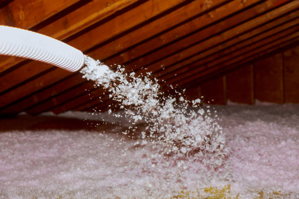 Best Attic Insulation Installation  in Six Mile, SC