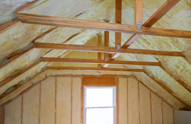 Best Insulation Contractors for Homes  in Six Mile, SC