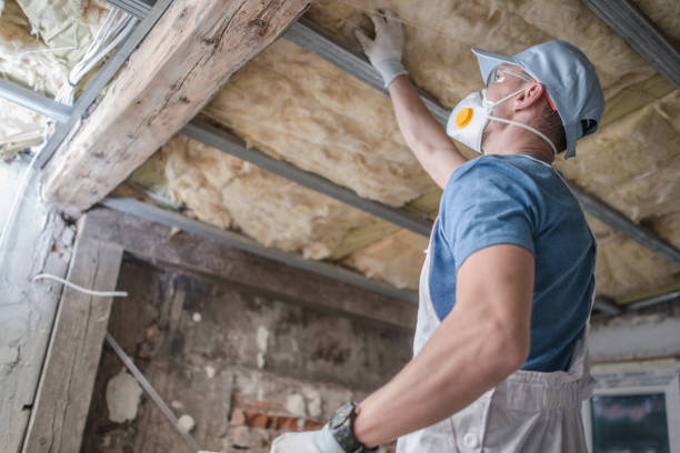 Best Energy-efficient Insulation  in Six Mile, SC