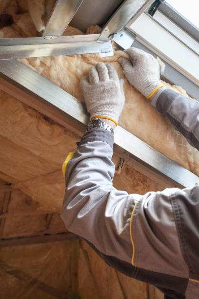 Best Insulation Repair Services  in Six Mile, SC
