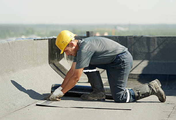 Best Professional Insulation Contractor  in Six Mile, SC